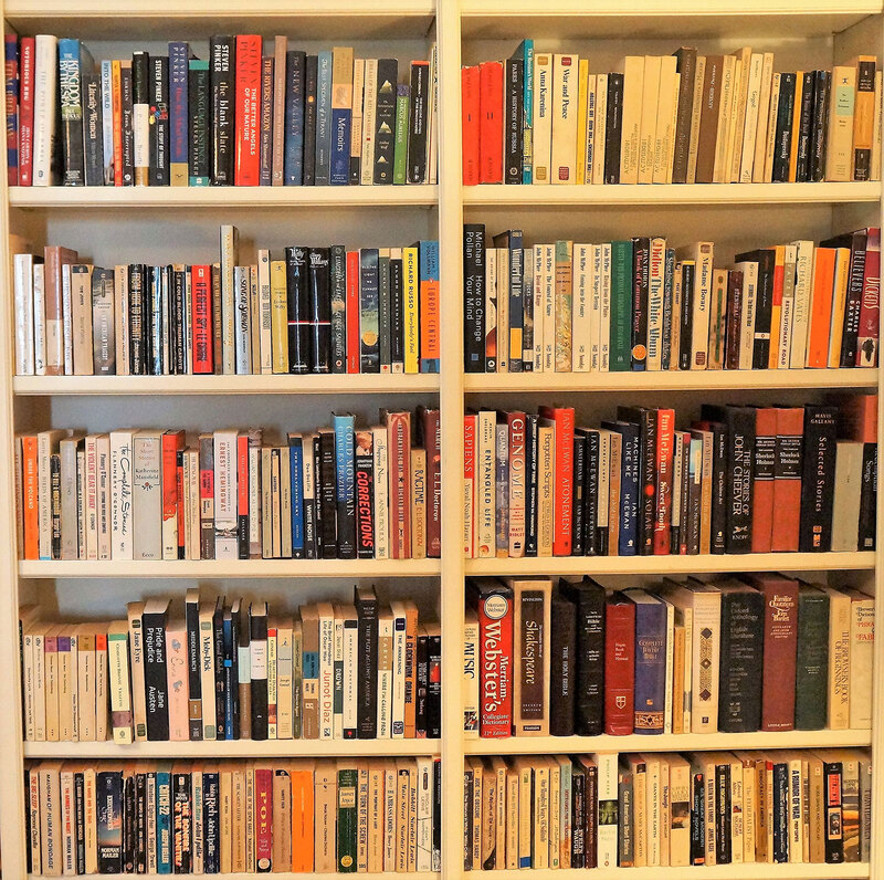 a photo of Dan Olson's personal library